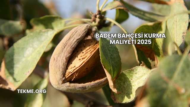 Badem Bahçesi Kurma Maliyeti 2025