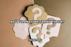 Bağ Budaması Ne Zaman Yapılır?