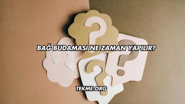 Bağ Budaması Ne Zaman Yapılır?