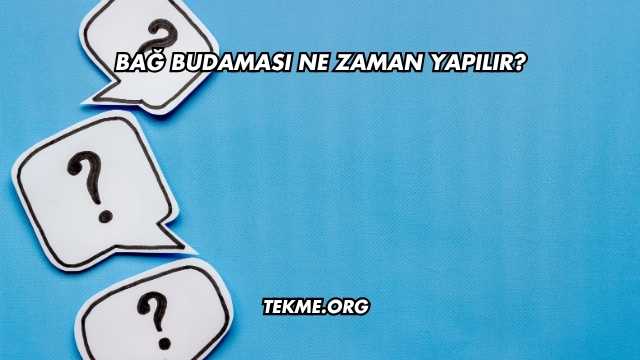 Bağ Budaması Ne Zaman Yapılır?