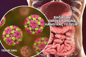 Bağırsak Enfeksiyonuna Hangi İlaç İyi Gelir?