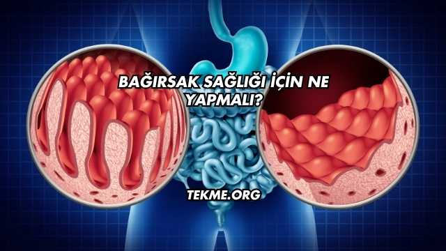 Bağırsak Sağlığı İçin Ne Yapmalı?