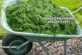 Bahçe Çimlendirme Maliyeti 2025