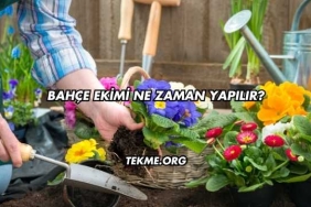 Bahçe Ekimi Ne Zaman Yapılır?