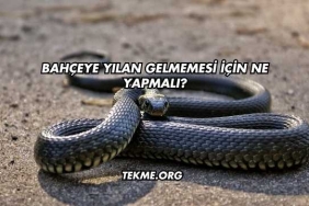 Bahçeye Yılan Gelmemesi İçin Ne Yapmalı?