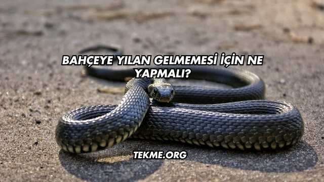 Bahçeye Yılan Gelmemesi İçin Ne Yapmalı?