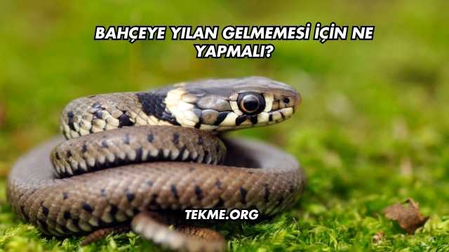 Bahçeye Yılan Gelmemesi İçin Ne Yapmalı?