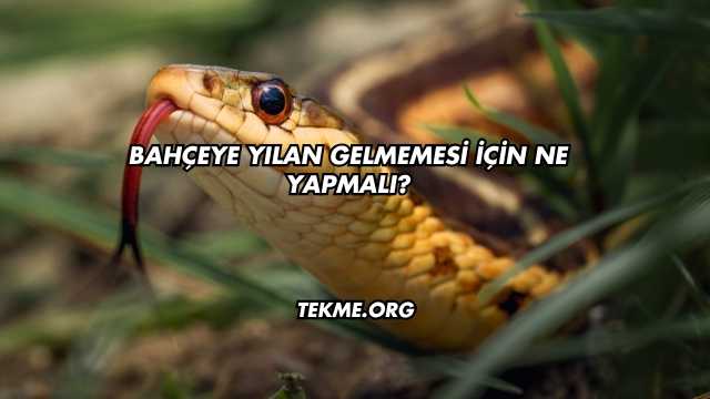Bahçeye Yılan Gelmemesi İçin Ne Yapmalı?