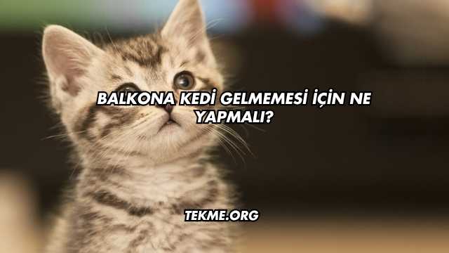 Balkona Kedi Gelmemesi İçin Ne Yapmalı?
