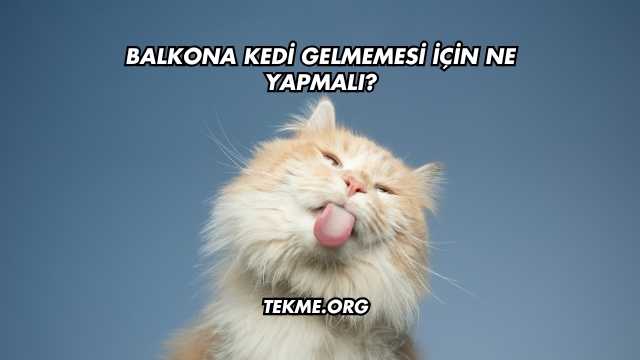 Balkona Kedi Gelmemesi İçin Ne Yapmalı?