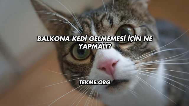 Balkona Kedi Gelmemesi İçin Ne Yapmalı?