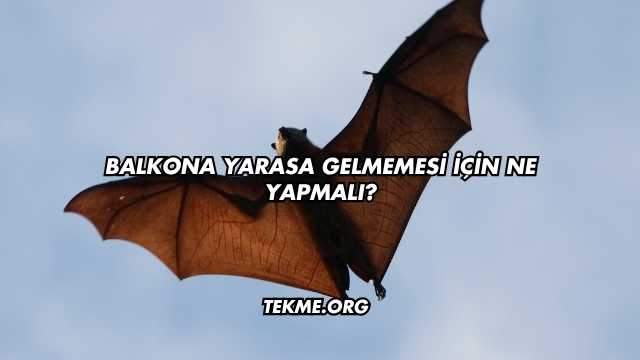 Balkona Yarasa Gelmemesi İçin Ne Yapmalı?