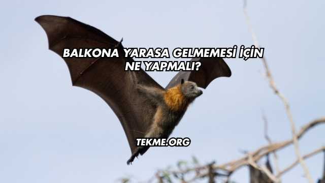 Balkona Yarasa Gelmemesi İçin Ne Yapmalı?