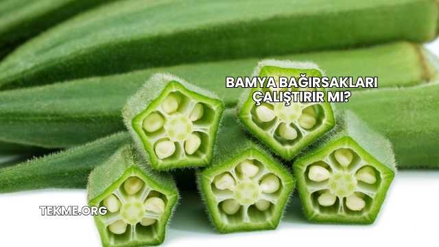 Bamya Bağırsakları Çalıştırır mı?