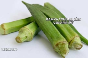 Bamya Tohumu Kilo Verdirir mi?
