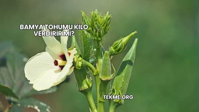 Bamya Tohumu Kilo Verdirir mi?