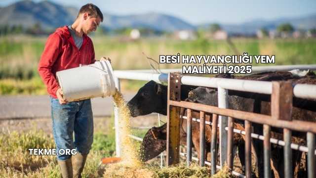 Besi Hayvancılığı Yem Maliyeti 2025
