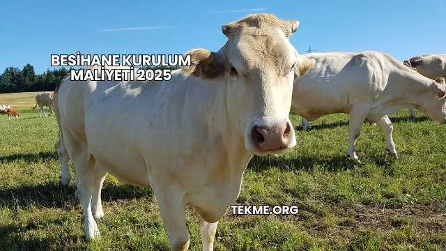 Besihane Kurulum Maliyeti 2025