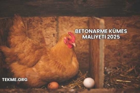 Betonarme Kümes Maliyeti 2025