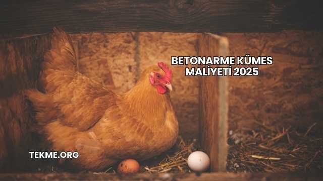 Betonarme Kümes Maliyeti 2025
