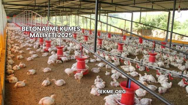 Betonarme Kümes Maliyeti 2025