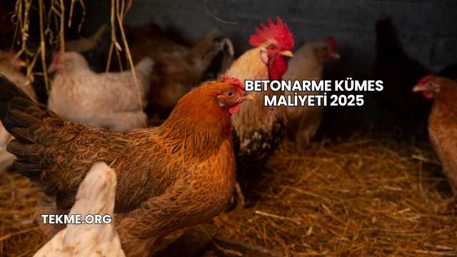 Betonarme Kümes Maliyeti 2025