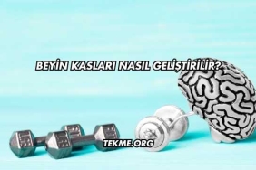 Beyin Kasları Nasıl Geliştirilir?