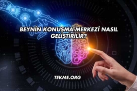 Beynin Konuşma Merkezi Nasıl Geliştirilir?