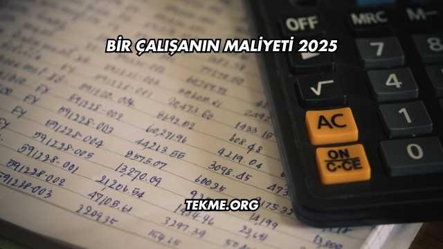 Bir Çalışanın Maliyeti 2025