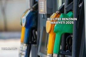 Bir Litre Benzinin Maliyeti 2025