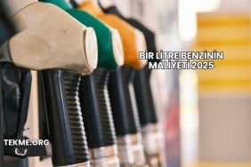 Bir Litre Benzinin Maliyeti 2025