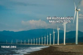 Bir Rüzgar Gülü Maliyeti 2025