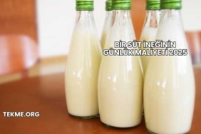 Bir Süt İneğinin Günlük Maliyeti 2025