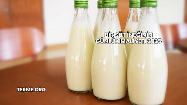 Bir Süt İneğinin Günlük Maliyeti 2025