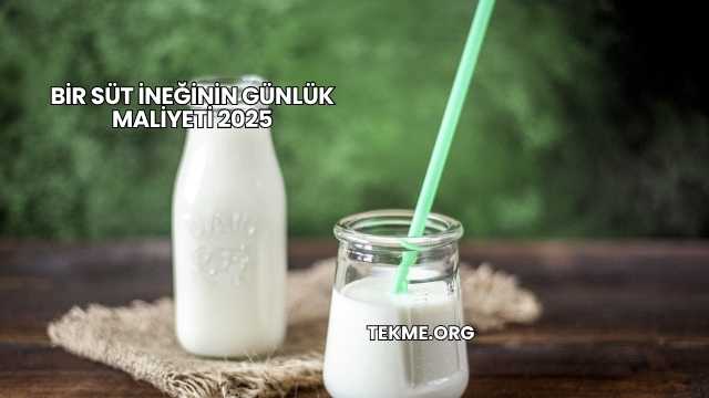 Bir Süt İneğinin Günlük Maliyeti 2025