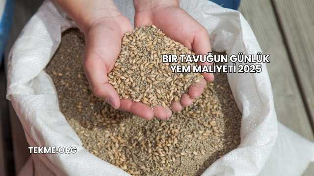 Bir Tavuğun Günlük Yem Maliyeti 2025