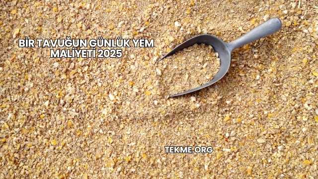 Bir Tavuğun Günlük Yem Maliyeti 2025