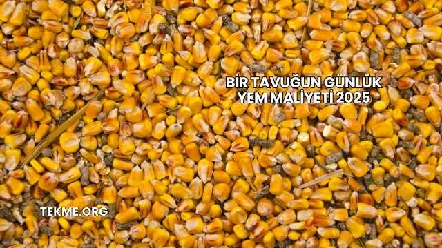 Bir Tavuğun Günlük Yem Maliyeti 2025