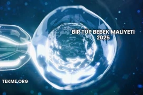 Bir Tüp Bebek Maliyeti 2025