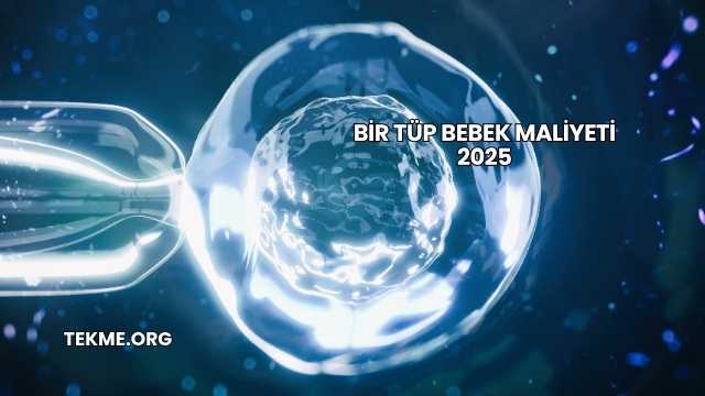 Bir Tüp Bebek Maliyeti 2025