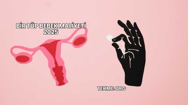 Bir Tüp Bebek Maliyeti 2025