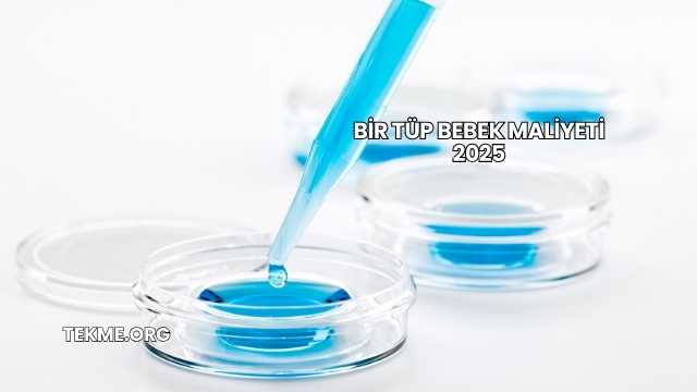 Bir Tüp Bebek Maliyeti 2025