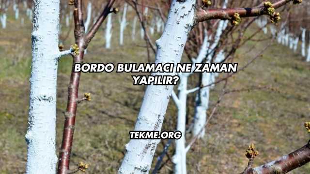 Bordo Bulamacı Ne Zaman Yapılır?