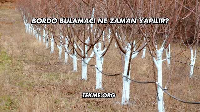 Bordo Bulamacı Ne Zaman Yapılır?