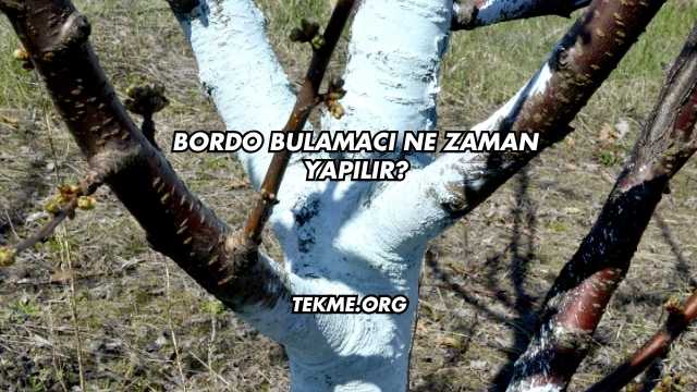 Bordo Bulamacı Ne Zaman Yapılır?