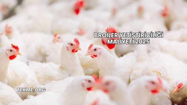 Broiler Yetiştiriciliği Maliyeti 2025