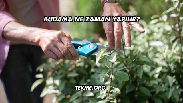 Budama Ne Zaman Yapılır