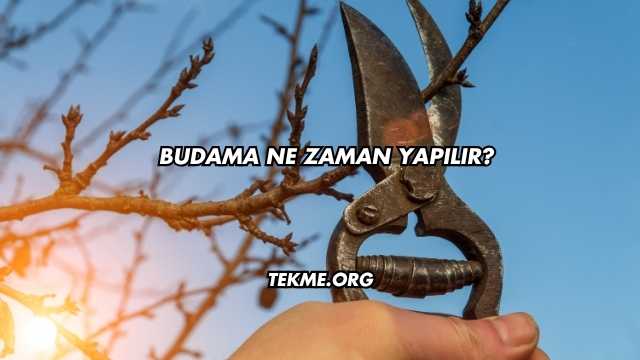 Budama Ne Zaman Yapılır