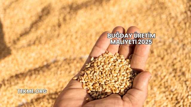 Buğday Üretim Maliyeti 2025