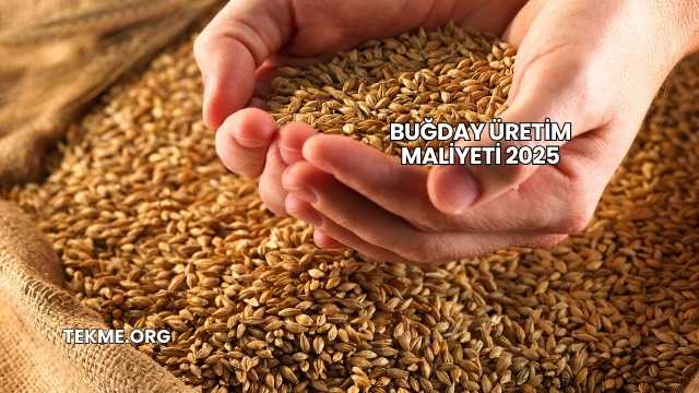 Buğday Üretim Maliyeti 2025